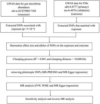 The causal correlation between gut microbiota abundance and pathogenesis of cervical cancer: a bidirectional mendelian randomization study